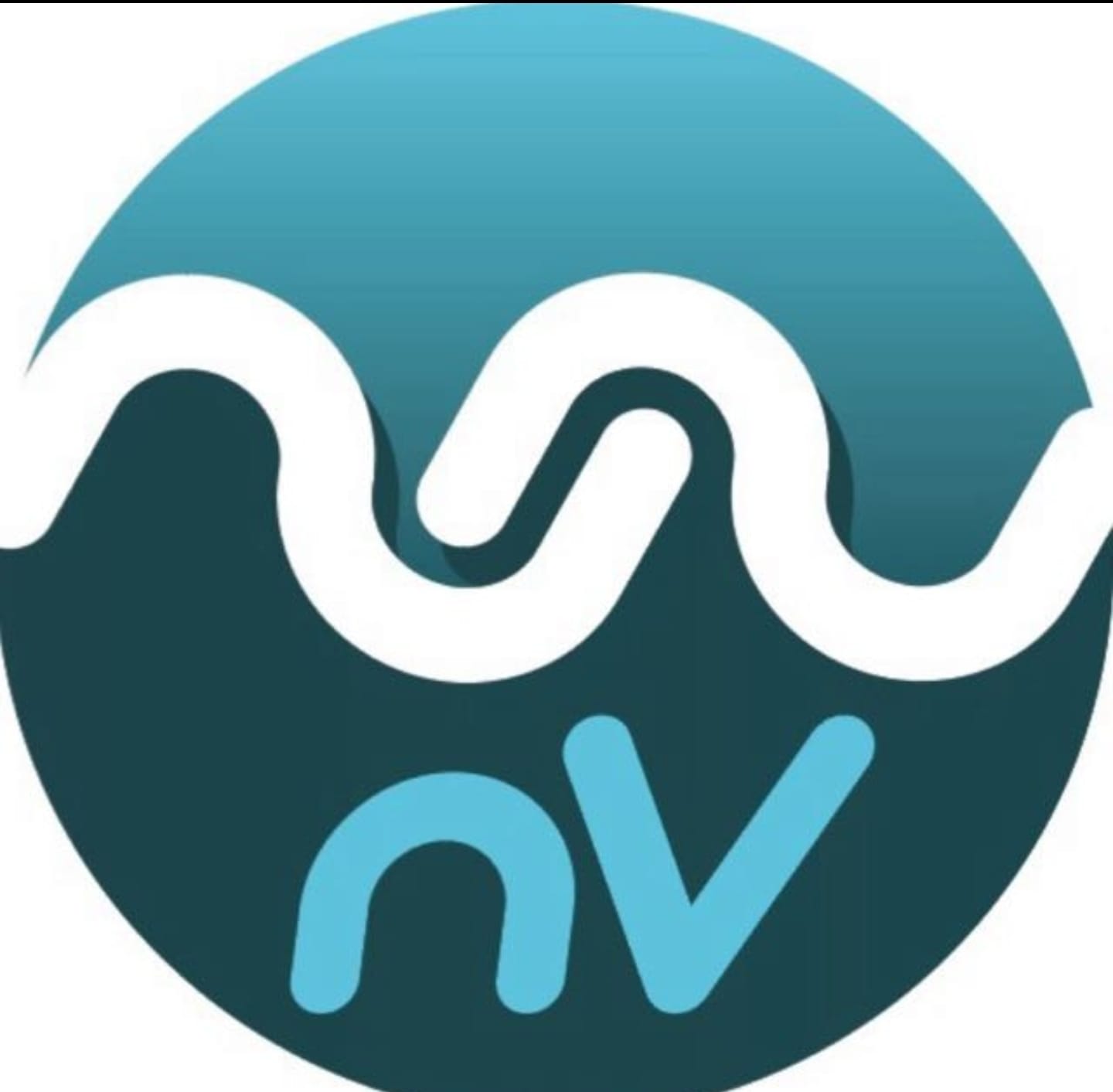 NV Pools logo